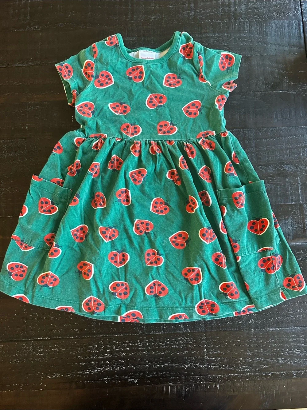 Hanna Andersson Green and Red Ladybug Print dress - 100% cotton- size 4
